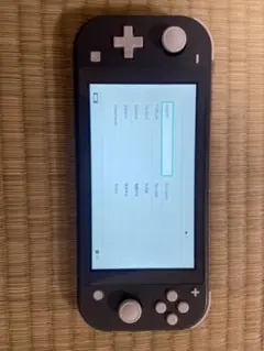 Nintendo Switch NINTENDO SWITCH LITE グレー