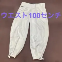 ニッカポッカ　作業服　白　大きいサイズ