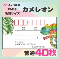 【カメレオン】宛名シール　差出人シール　普通サイズ　40枚　シンプル　動物