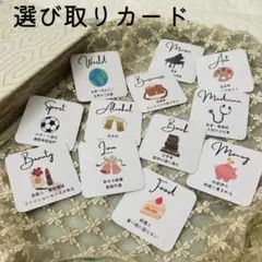 選び取りカード　誕生日 一歳　月齢 バースデー　一升餅　マンスリー　②