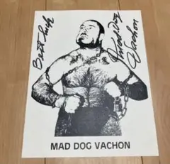 ‼️数量限定✅ マッドドッグバション 直筆サイン ポートレート プロレス ルチャ