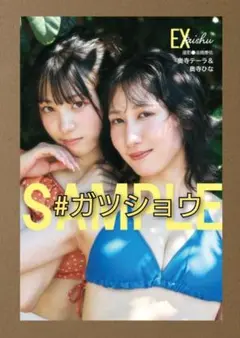EX大衆 2025年9月号 奥寺テーラ＆奥寺ひな 特典 ポストカード 1種