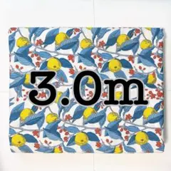 【3.0m】リバティ ラセンビィ コットン コンサヴァトリー フルーツ