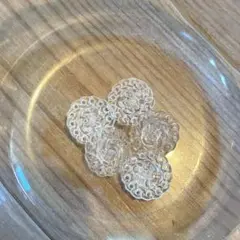 透明花形ボタン　5点セット　おまけ付き