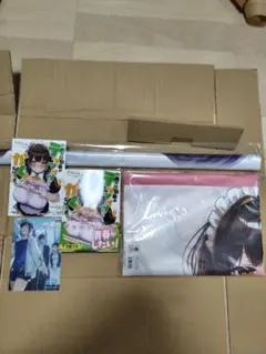 ろうか タペストリー 俺の幼馴染がデッッッッかくなりすぎた2 特典グッズ