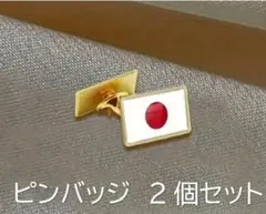 日本国旗　ピンバッジ 2個セット