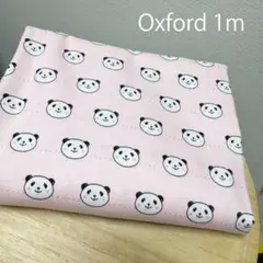 【一旦ラスト】ピンク地パンダの総柄★かわいい綿オックス生地1m★日本製★手提げに