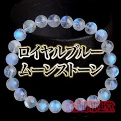 Item thumbnail for item bd149ca7-3e8c-4fb7-8985-f9f22d3f7142