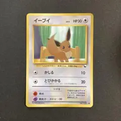 ポケモンカード旧裏、拡張シート第一弾イーブイ イーブイ | ポケモンカード(旧裏面) 拡張シート 第1弾(青版)