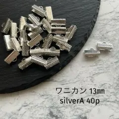 ワニカン　13㎜　silver A 40個