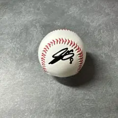 阪神タイガース　佐藤輝明選手　直筆サインボール