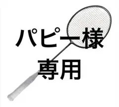 【美品】ヨネックスYONEX Carbonex20カーボネックス20 ラケット