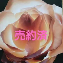 Item thumbnail for item 543f1e37-37f7-4577-b8e3-2129933ceb27