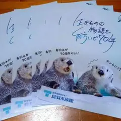 2025年最新】鳥羽水族館 ラッコ クリアファイルの人気アイテム