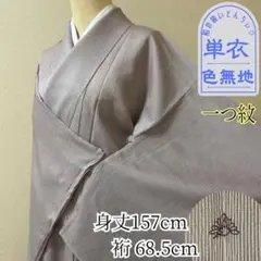 k181 単衣 薄物 絽 桜鼠色 一つ紋 色無地 身丈157cm 縞 夏着物