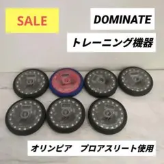 DOMINATEリアルタイム・スピードシステム（正規品）
