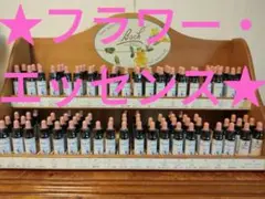 1本■ヒーリングハーブス社フラワーエッセンス■レスキューレメディ■Healing