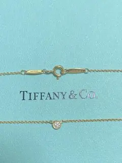 Tiffany バイザヤード ネックレス チョーカー