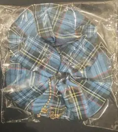 AKB48 衣装展　シュシュ　レア　羽チャーム