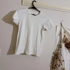 UNIQLO U M ホワイト Tシャツ