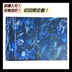 即購入可 初回限定盤 状態良好 SUGIZO ONENESS M
