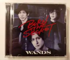 WANDS BURN THE SECRET CD＋DVD