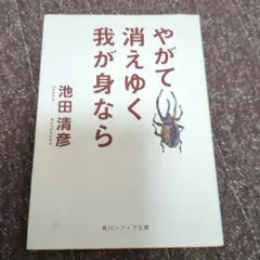 やがて消えゆく我が身なら