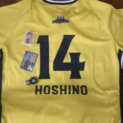 Item thumbnail for item ddc44541-52ac-4a2b-a673-496c0c057eef