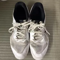 Item thumbnail for item 6788733e-464c-4685-a1c5-c43287325446