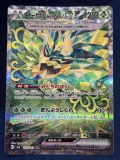 オーガポン　みどりのめんex sar