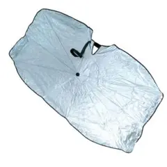 Item thumbnail for item fb975bb1-6f47-4683-9428-cd5bab27147f