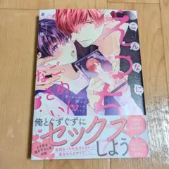 こんなにえっちでごめんなさい。 車谷晴子 先生