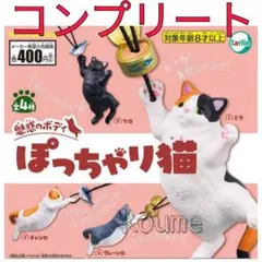 魅惑のボディ ぽっちゃり猫 ガチャ コンプリート