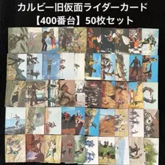 旧カルビー仮面ライダーカード ダブリ無し496枚、496種 アルバム7冊セット 旧カルビー仮面ライダーカード ダブリ無し496枚、496種 アルバム