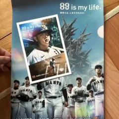 巨人　ジャイアンツ　ファイル　ポストカード