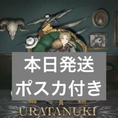 うらたぬき ミニアルバム Alpha CD 未開封