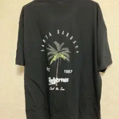 でかいTシャツ