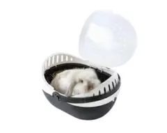 Item thumbnail for item 9d23e64b-468f-4749-99d8-cfee955f1719