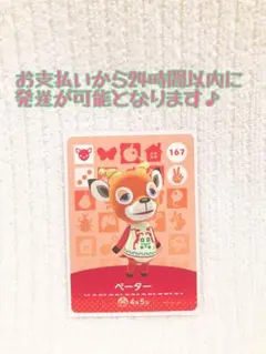 未使用.あつ森amiiboカード.ペーター