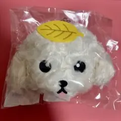 【新品•未開封】東方神起　チャンミン　ポッチポーチ