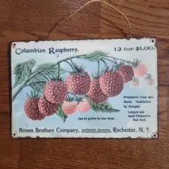 Columbian Raspberry 銅版画アンティークボード
