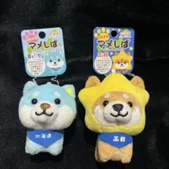 【激レア】旅するマメしば まめた 北海道セット 函館五稜郭 青い池 キーホルダー
