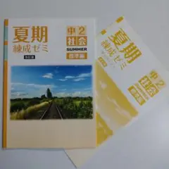 中2社会 夏期練成ゼミ 標準編＋単元別テスト 育伸社 未使用品 送料無料！