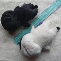 ぼうねこ　ぬいぐるみ　ミケねことクロねこ 2体セット