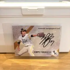 Item thumbnail for item bac44322-36e7-42b2-81ec-6d77a4db3a46