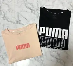 【美品】PUMA Tシャツ2枚セット