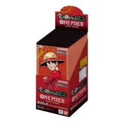 受け継がれる意志 1box 外箱付き