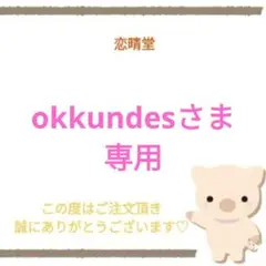 okkundesさま専用