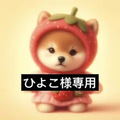 専用ページ