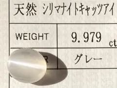 Item thumbnail for item af2a6551-af3a-4804-8ff1-c1a96ddb8b2d